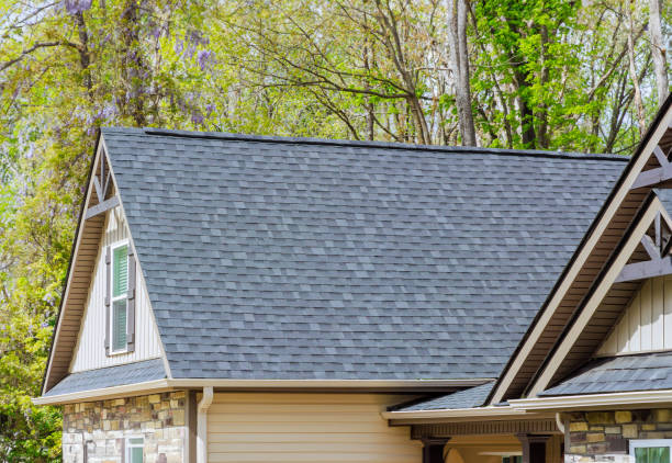 Roof Moss and Algae Removal in North Wantagh, NY